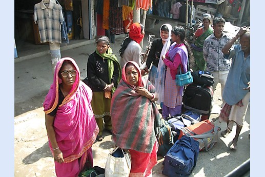 Viaggio in India 2008 - Sunderbans